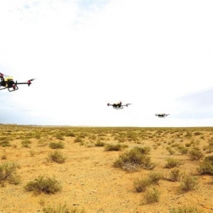 臨澤：無人機(jī)防蟲害