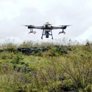 無人機(jī)精準(zhǔn)灑下“綠色希望”，大理困難立地造林用上了新科技 ... ... ...