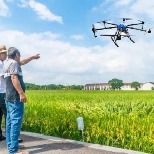 無人機(jī)播種，一天300畝