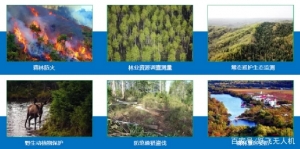 無人機林草區(qū)應用解決方案