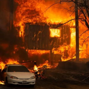 美國政府禁用中國無人機(jī) 美國制造又貴又難用 多個(gè)部門叫苦不迭 ...